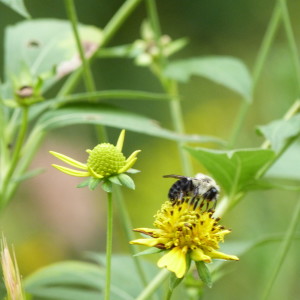 Social, political and spiritual impacts of being who we are