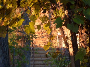 Being called to the new