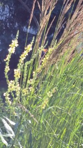 The great change of which I am a part