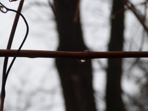 The “birth” of A Course of Love